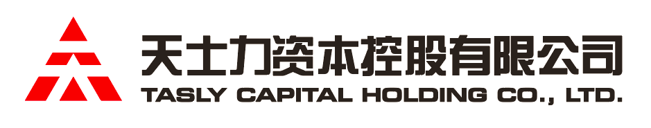 FYTbet资本控股有限公司